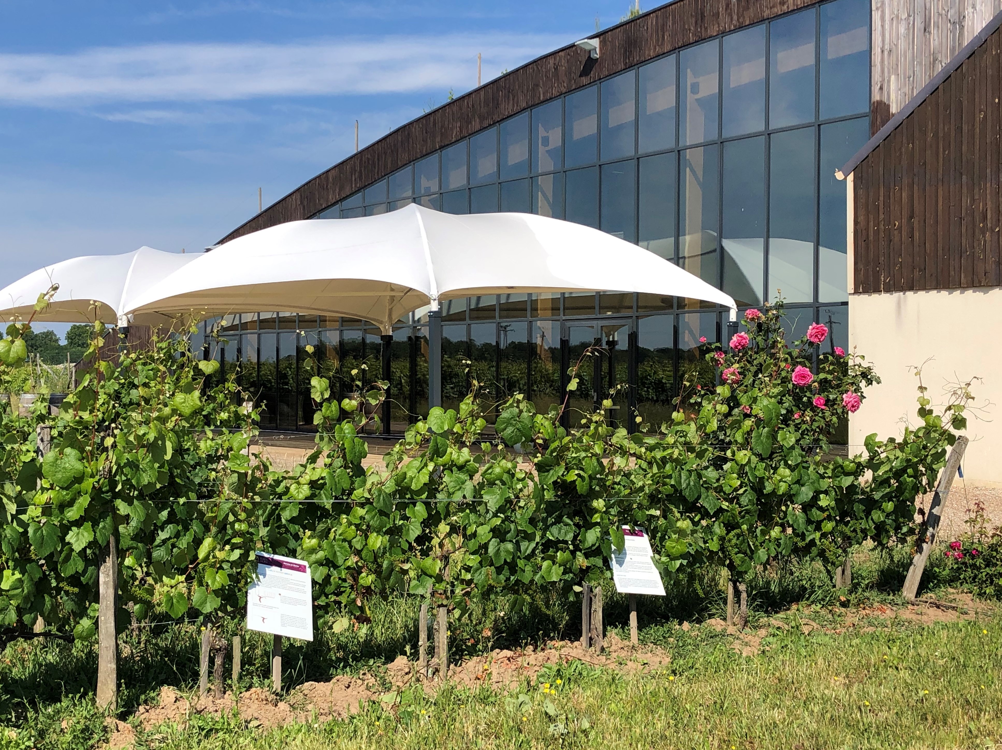 Grande salle éco-construite au milieu des vignes